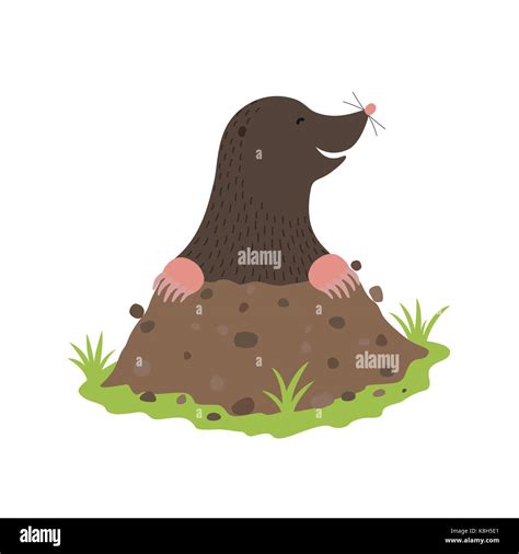 Mole Digging Out of the dirt animal cartoon character Stock Vector Image & Art - Alamy