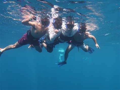 Cozumel Reef Snorkeling and Sailing Adventure - All You Need to Know ...