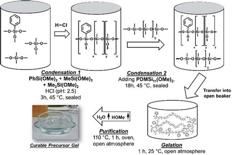 Scheme of the preparation of the polysiloxane gels. After the ...