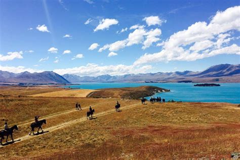 Mackenzie Alpine Horse Trekking - Mackenzie Region, New Zealand