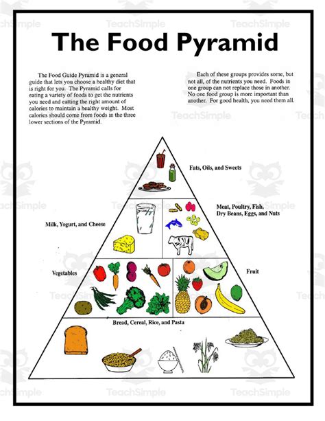 Food Pyramid Worksheet by Teach Simple