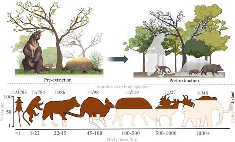 The late-Quaternary megafauna extinctions: Patterns, causes, ecological ...