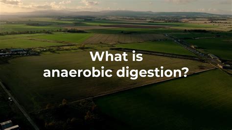 What is Anaerobic Digestion? — Acorn Bioenergy