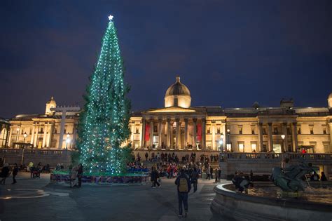 London's Christmas Trees: Ranked