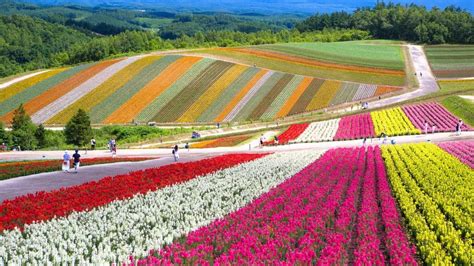 Visit Japan: From late April to late October, the colors of Shikisai no ...