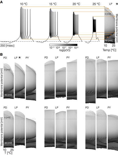 Changes in membrane potential over temperature. All cells remain ...