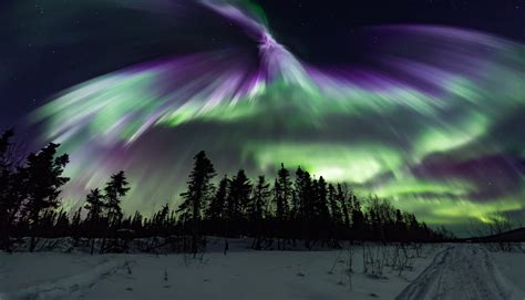 Live Northern Lights Aurora Webcam and Forecast in Fairbanks, Alaska — The Aurora Chasers