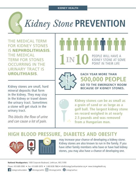 Kidney Stones – Cause, Symptoms, and Treatment - Urology Centers of ...