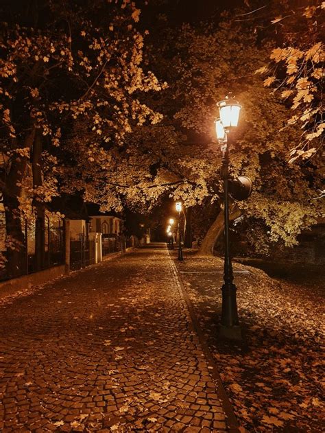 Autumn city fall night | Autumn landscape, Night pictures, City streets photography