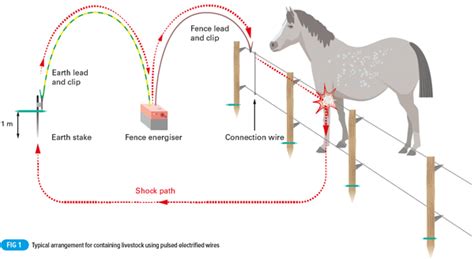 What are the installation requirements for electric fence controllers? - Technique Learning ...