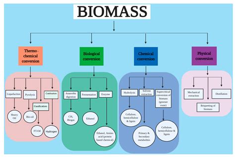 Sustainability | Free Full-Text | Socio-Economic and Environmental Impacts of Biomass ...