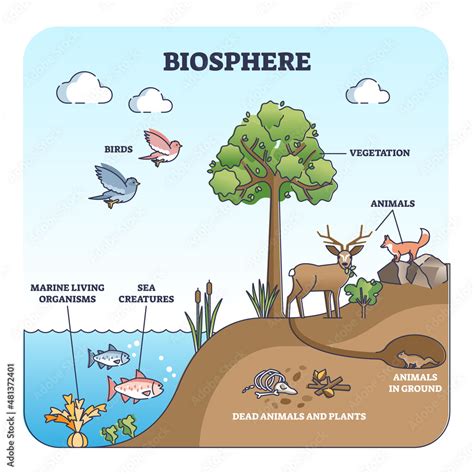 Biosphere and natural habitat division for living creatures outline diagram. Labeled educational ...