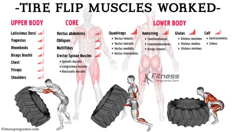 Get Fit And Strong With Tire Flip: A Step-by-Step Guide