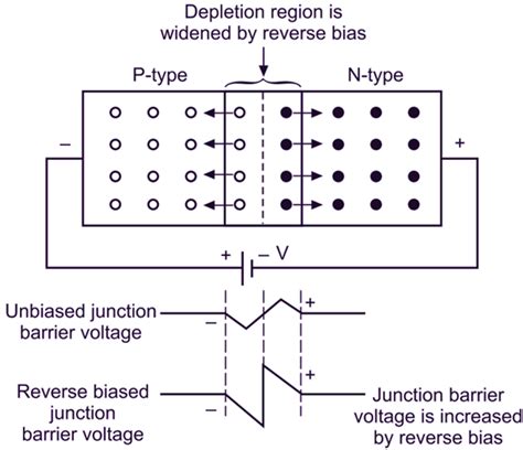 Zener Diode Reverse Bias Circuit Diagram