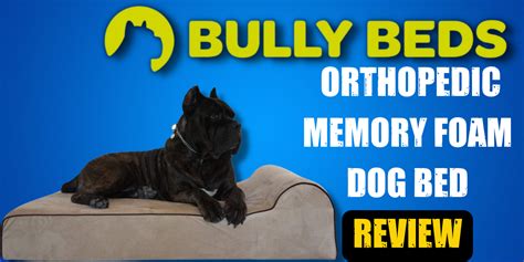 Bully Beds Orthopedic Memory Foam Dog Bed Review