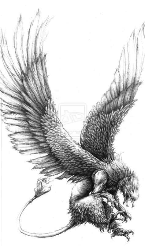 realistic griffin tattoo designs - buyingexecutivefrostthermalbindingco