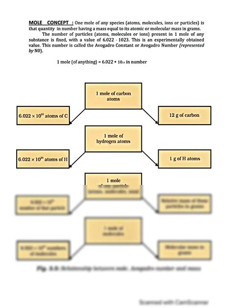 SOLUTION: Mole concept diagram representation - Studypool