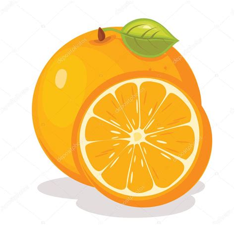 Orange vector illustration — Stock Vector © yusufdemirci #11263908