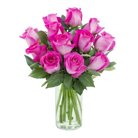 Arabella Farm Direct Bouquet of 12 Fresh Cut Hot Pink Roses with Free Vase - Walmart.com ...