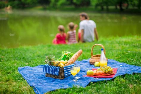 Top Picnic Foods that Attract Pests - Accurate Termite and Pest Control