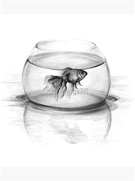 "Just one wish Goldfish in a bowl pencil drawing" Poster by edrawings38 | Redbubble