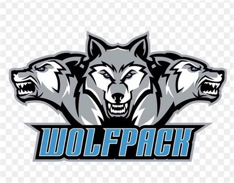 Wilkes-Barre has a new team, they will call them the Wolfpack – PA ...