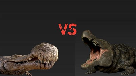 Sarcosuchus vs Deinosuchus | Fandom