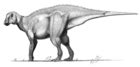 Qantassaurus - Wikipedia