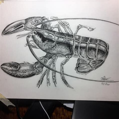 #drawing #art #sketch #artwork #fineart #artist #draw #pencildrawing #Lobster#artistsoninstagram ...