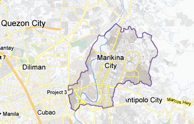 Resident asks court to scrap ban on pets in some parts of Marikina | Inquirer News