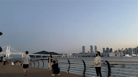 Best Beaches in Busan: 5 Things to Do in Gwangalli Beach at Night