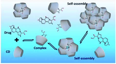 Formation of a cyclodextrin inclusion complex in an aqueous solution... | Download Scientific ...