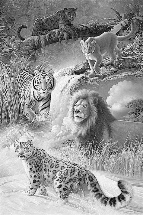 Pin by Anne dennis on nieuwe kleurplaten | Pencil drawings of animals ...