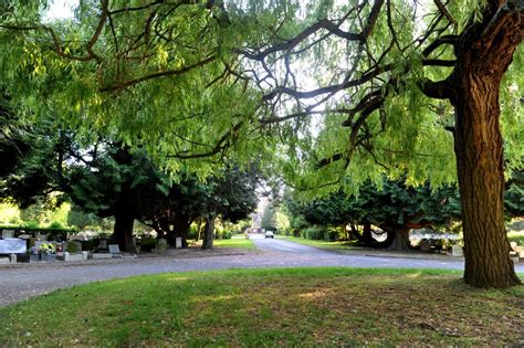 Ipswich Cemetery - Ipswich Cemeteries and Crematorium