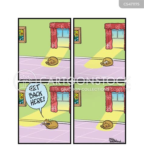 Cat-nap Cartoons and Comics - funny pictures from CartoonStock