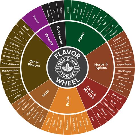 Cigar 101: How to Taste a Cigar & Flavor Wheel (Infographics)