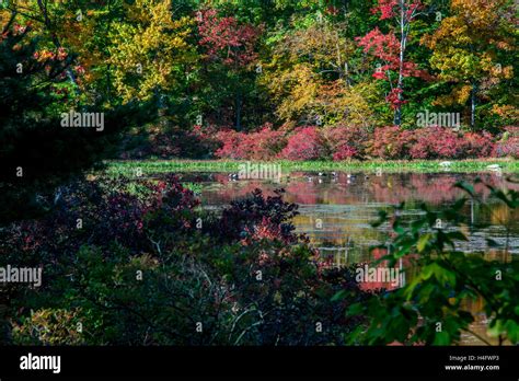 Fall Foliage Harriman State Park New York Stock Photo - Alamy