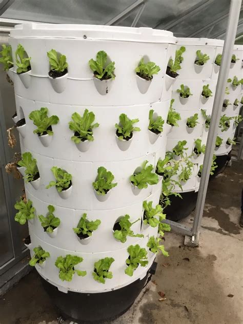 Wholesale 70pcs Hydroponics System Aeroponic tower garden for greehouse/indoor/garden decoration ...