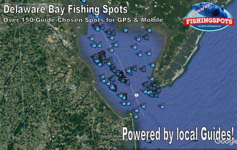 Delaware Bay Fishing Spots- Best Locations for Delaware Inshore Fishing