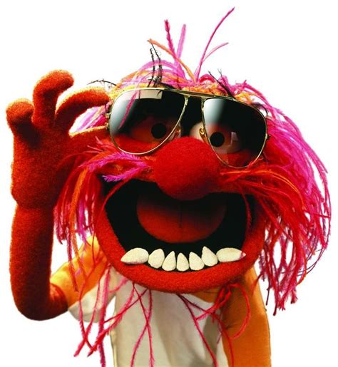 19 best Muppets - Animal images on Pinterest | The muppets, Animal muppet and Jim henson