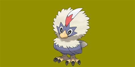 Poké Spotlight: Getting To Know Rufflet Outside Of Pokémon GO