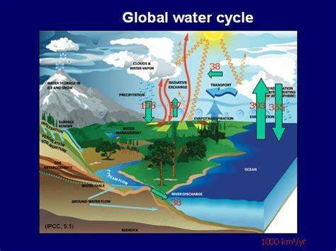 Global water cycle