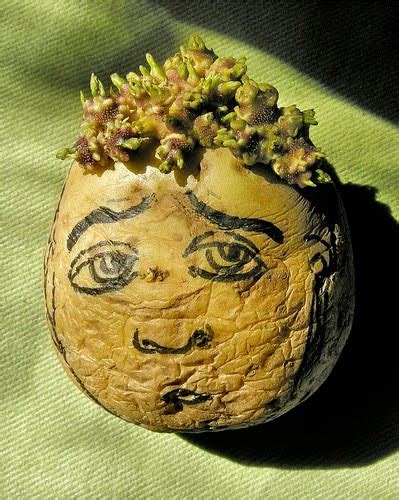 GADAPA SUBHASH's Web Log: Potato Art and Sculpture - Amazing Creativity...