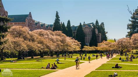 University Of Washington Wallpapers - Wallpaper Cave