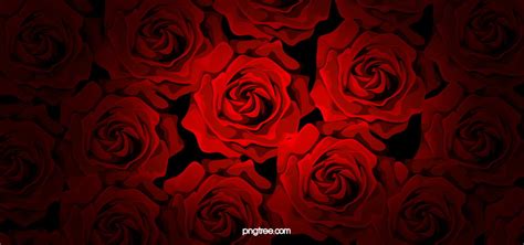 Closeup Of Red Rose Petals Background, Wallpaper, Red, Rose Background Image And Wallpaper for ...