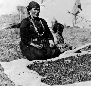 pemmican | Indians, Insanity, and American History Blog