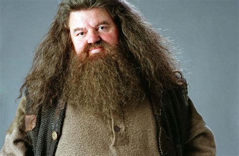 Remember Rubeus Hagrid from 'Harry Potter'? See what actor Robbie ...