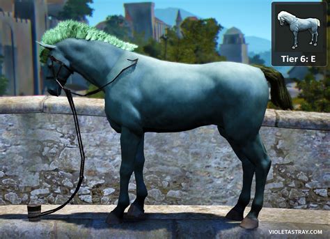 BDO Horse Catalog - See What Horses Really Look Like! – Violet Astray