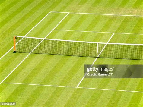 510,240 Wimbledon Tennis Stock Photos, High-Res Pictures, and Images ...