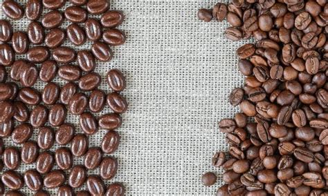 Can You Eat Coffee Beans? Pros, Cons and Loads More